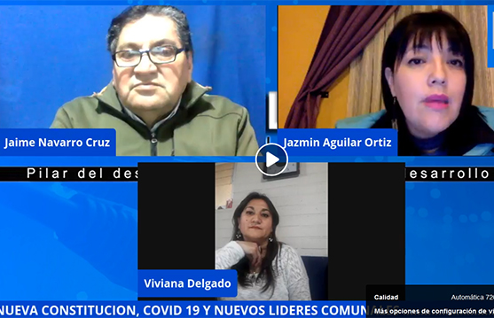 DEBATE ECOLOGISTA QUE BUSCA TENER REGULACION DE MEDIOAMBIENTE EN LA NUEVA CONSTITUCIÓN