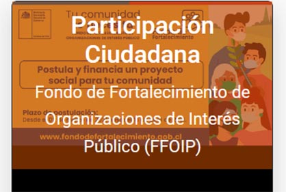 Fondo de Fortalecimiento de Organizaciones de Interés Público (FFOIP)