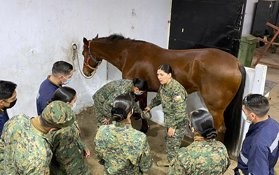 “La salud animal es la base para alcanzar triunfos deportivos”