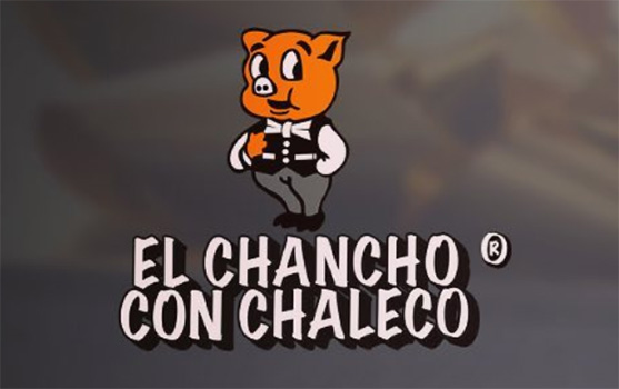 CHANCHO CON CHALECO SE VA DE MAIPU
