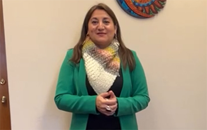DIPUTADA VIVIANA DELGADO PIDE REESTUDIAR TEMA TORNIQUETES EN BUSES