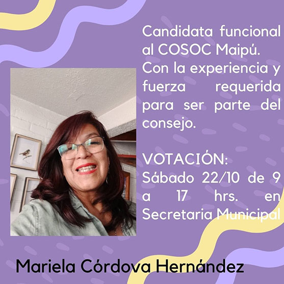 SE REPITEN POR TERCERA VEZ ELECCCION EN EL COSOC