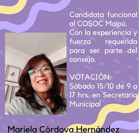 ELECCIONES COSOC