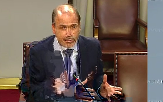 UNDURRAGA PRESIDENTE NACIONAL DEL PDC