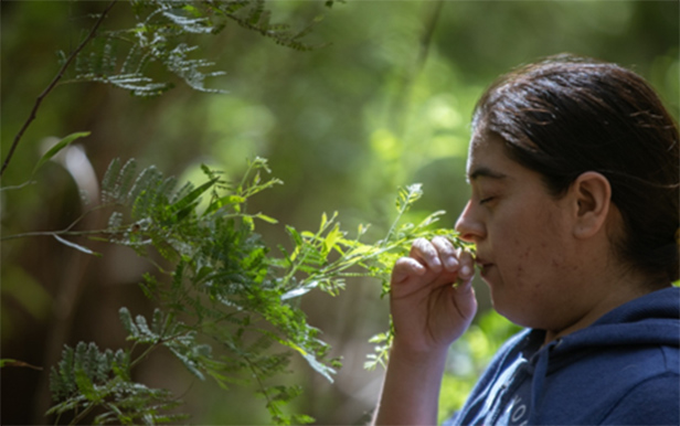Impulsan una revolución en la salud mental a través de la Naturaleza