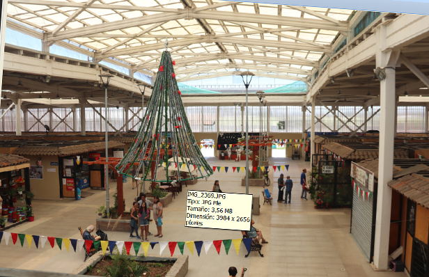 MERCADO MUNICIPAL  ATENDERA EL 24