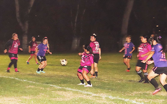 TRES PUNTERAS EN EL TORNEO DE APERTURA DE LA LIFEM