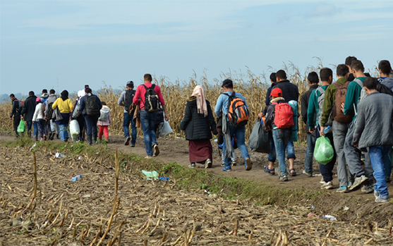 Proyecto que regula migración y extranjería