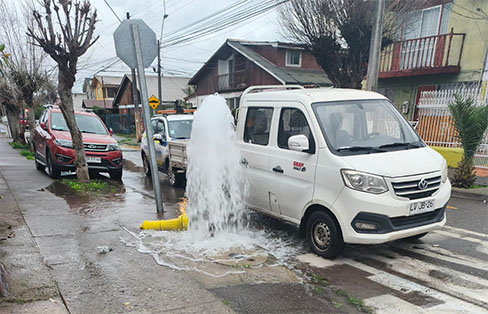 VEHICULO CHOCA CON UN GRIFO EN IRARRAZABAL.